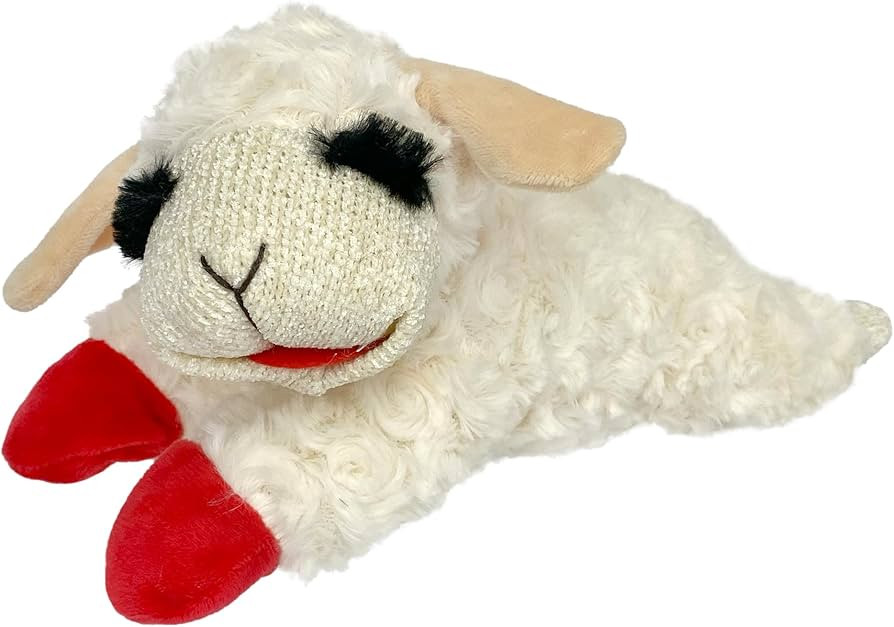 Multipet Mini Lamb Chop Officially Licensed, Plush, Squeak Pet Toy (White, 10') | Amazon (US)