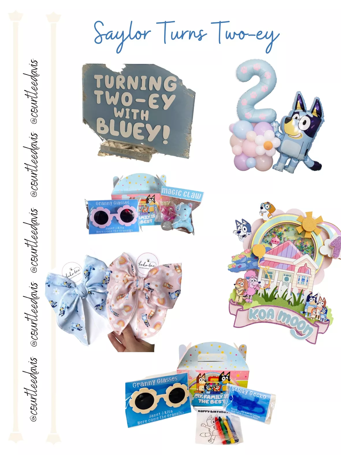 How to Guide: Bluey Picnic Party – Lovely Occasions