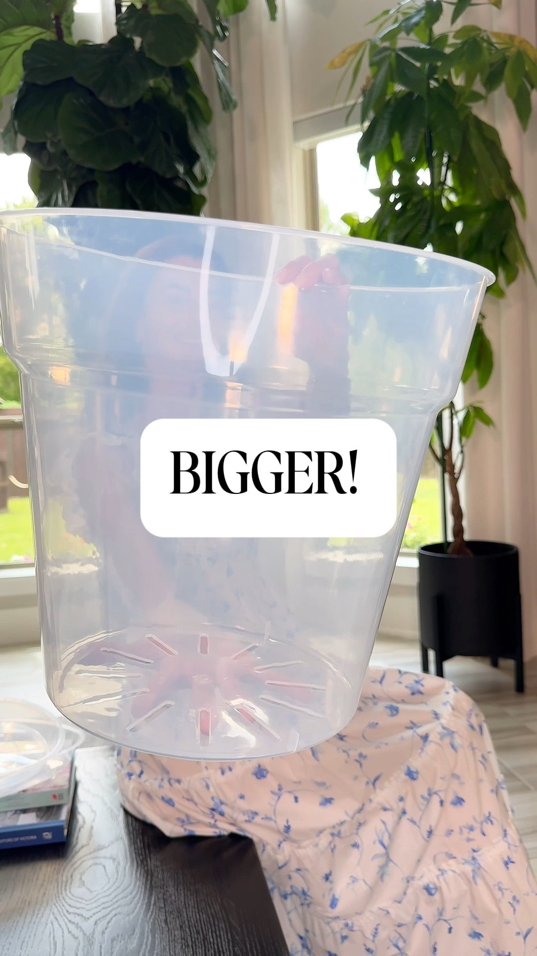 If you have large houseplants, these are a total game changer. Being able to actually SEE your roots means you’ll never accidentally overwater, underwater, or wait too long to repot again. The clear sides show you exactly what’s going on — whether your roots are thriving, circling, or ready for more space. Plus the drainage trays are included so no messy water situations. Now available in 13.65 inches and comes as a set of 3 with trays. 🌱

Comment BIG for the link!

#houseplants #plantmom #houseplantlover #planttips #urbanjungle

#LTKmomlife #LTKHome #LTKOver40