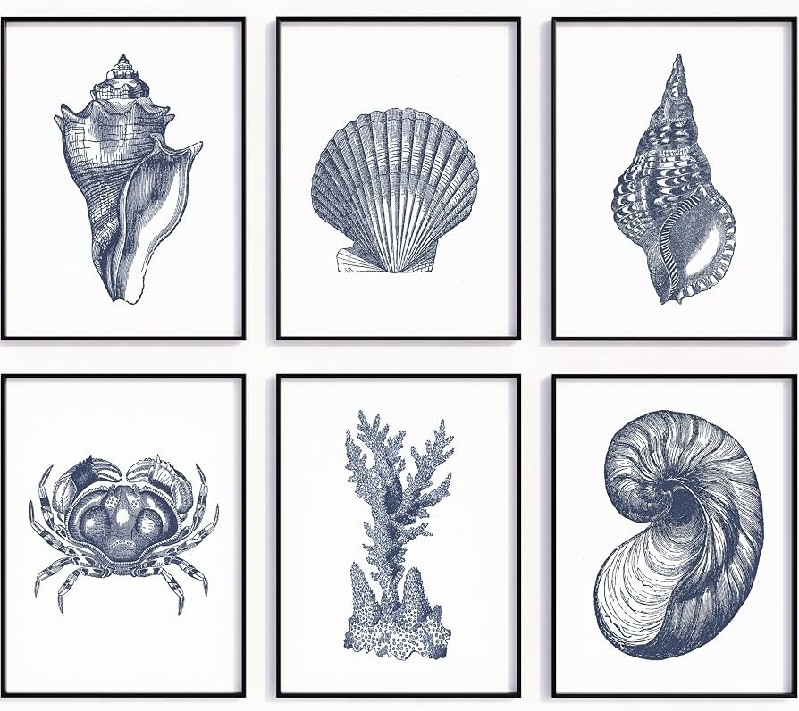 Coastal Wall Art Prints Set of 6 \u2013 Vintage Seashell Decor \u2013 Blue Nautical Beach Artwork... | Amazon (US)