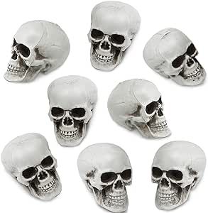 Amazon.com: 8 Pieces Halloween Skulls Realistic Looking Skulls Human Skeleton Head Skull for Hall... | Amazon (US)