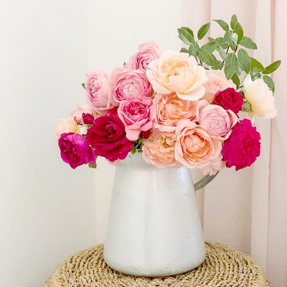 The Classic Bouquet | Grace Rose Farm