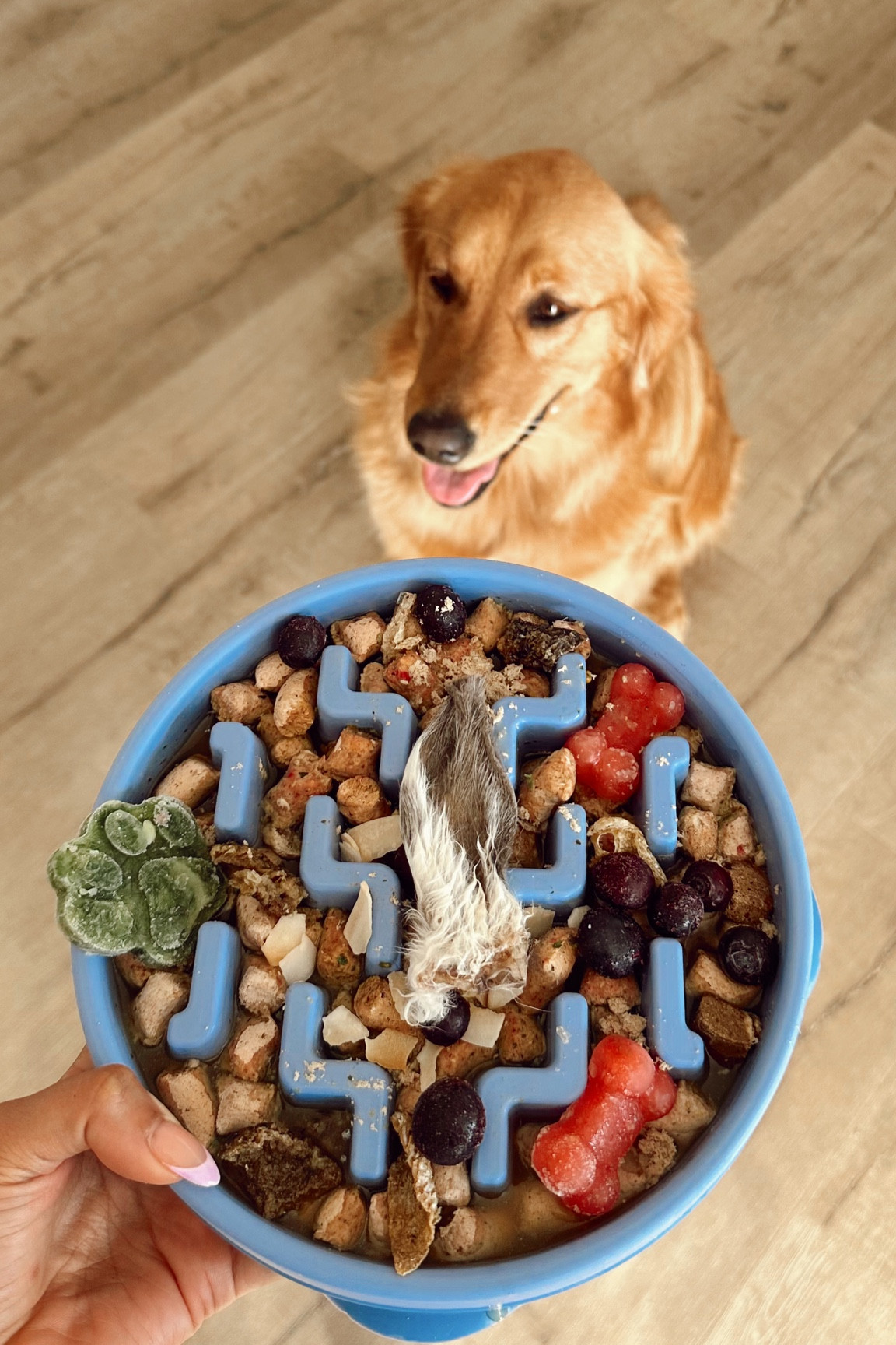 3pcs Dog Lick Mats With Suction , Dog Food Mat Feeding Dog Bowl