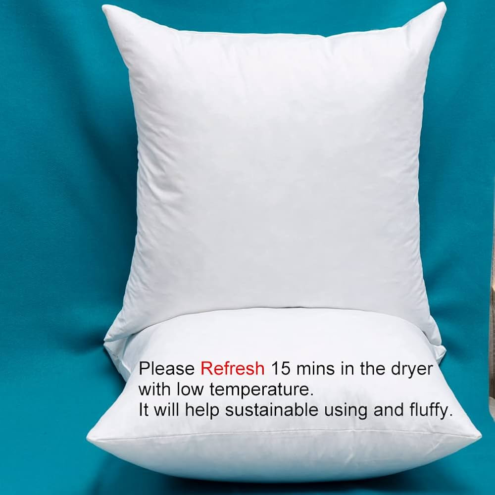 Warmwithann Set of 2, 24 x 24 Inches Cotton Fabric Square Pillow Inserts, Down and Feather Decora... | Amazon (US)