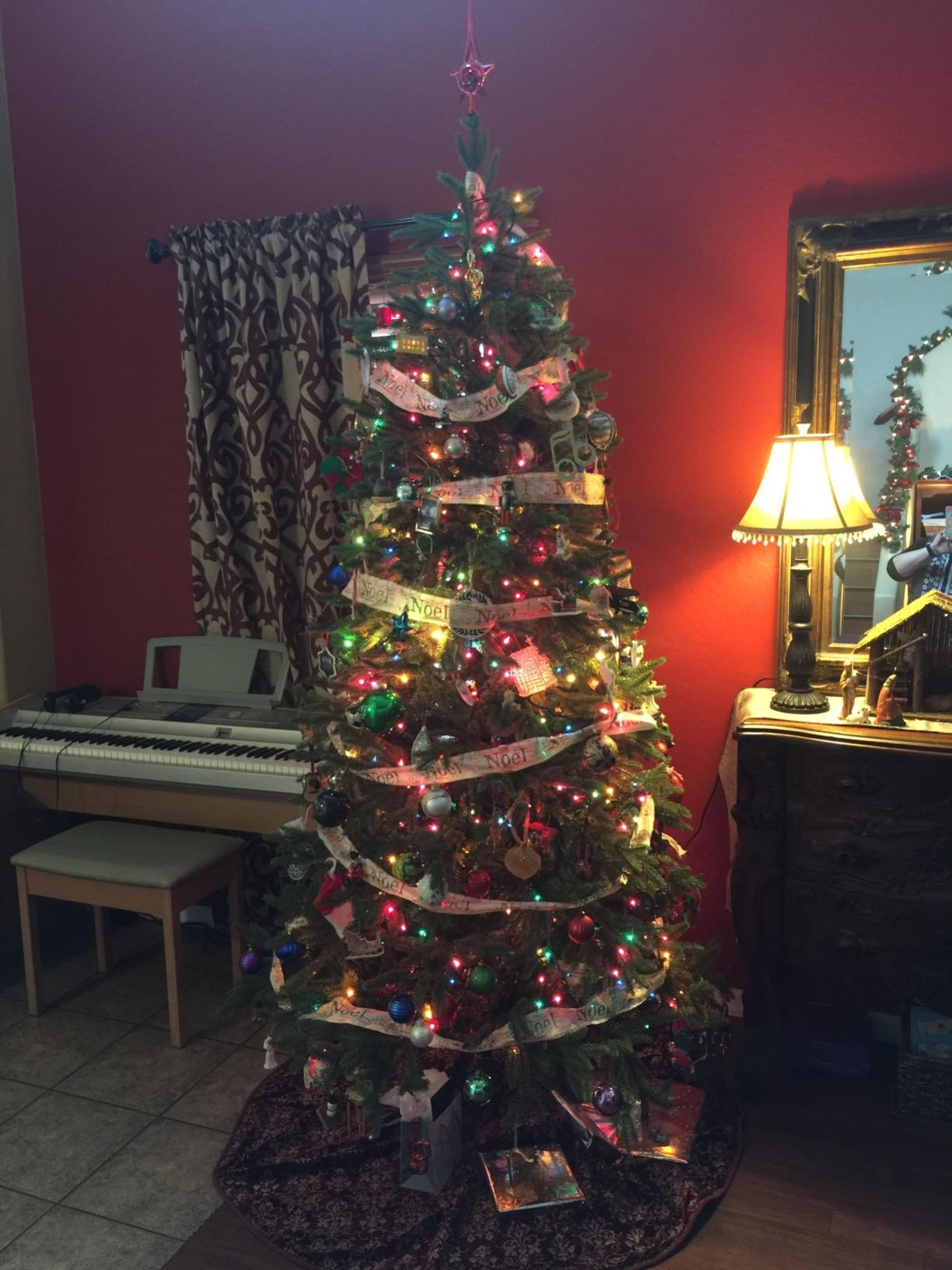 Balsam Hill 7.5ft Unlit Stratford Spruce - Slim Artificial Christmas Tree with True Needle Foliag... | Amazon (US)