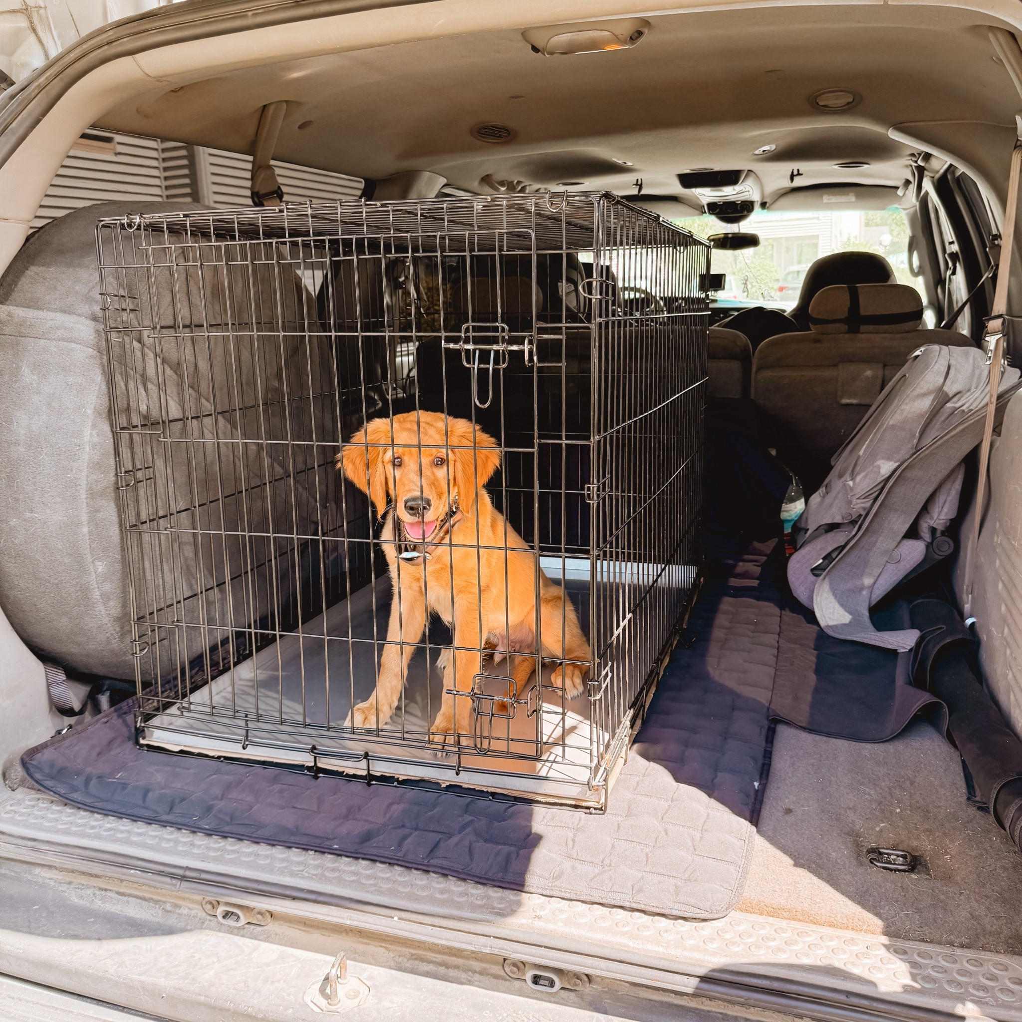 Size 42-27 kennel, Stainless steel kennel tray 41.25-26.75, 2.25mm prong collar, Medium martingale training collar, 20f 3/8 leash, car seat cover to protect the car’s  carpet. 

#LTKKids #LTKPets #LTKFamily