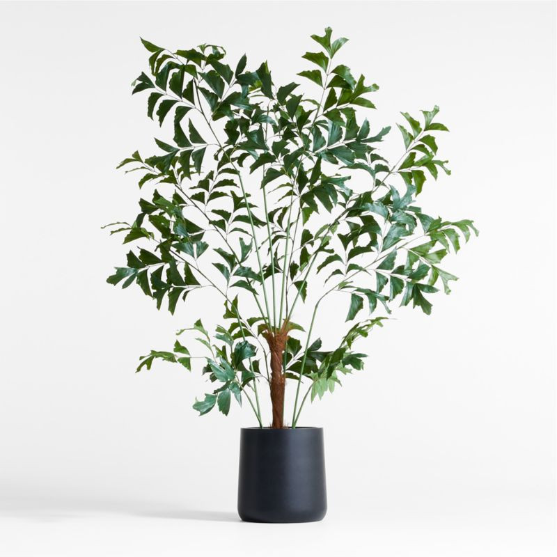 Potted Faux Fishtail Palm Tree 6.5' + Reviews | Crate & Barrel | Crate & Barrel