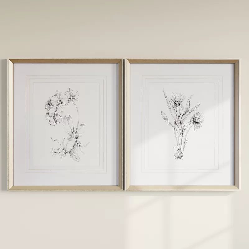 Botanical Sketches Framed On Paper 2 Pieces by Emma Scarvey Print | Wayfair North America