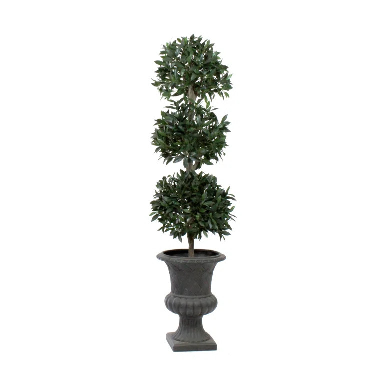 Faux Boxwood Topiary in Glass Urn | Wayfair North America