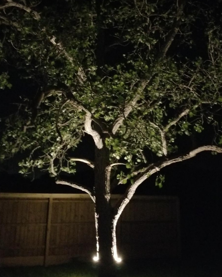 Cheap lights we installed outside in 2017 are still going strong! -so worth it! They are only $40 for 6 lights! (Powered)