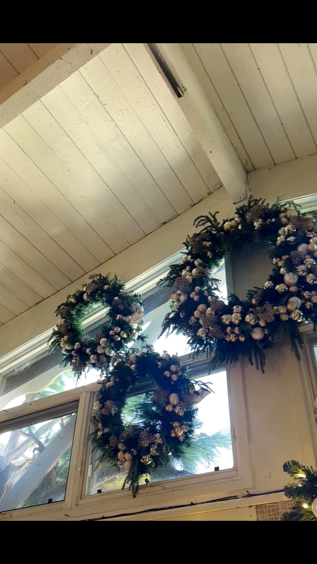 It’s getting to look  like holidays — cozy, fresh, and full of festive cheer. ✨🎄

#ChristmasWreath #HolidayVibes #FestiveHome #SeasonalDecor #HolidaySpirit

#LTKGiftGuide #LTKHoliday #LTKHome