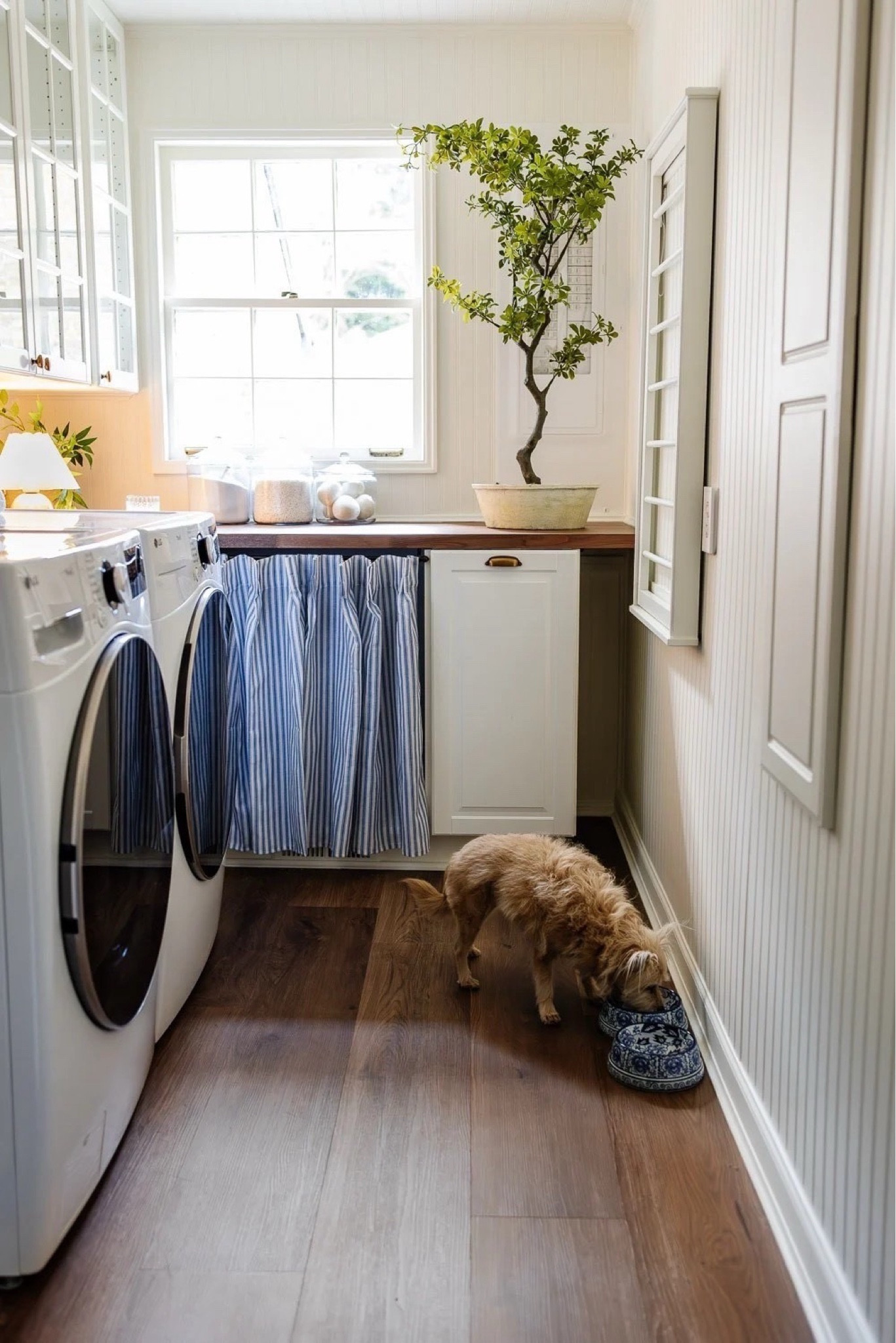 Its the small things 💙🤍

Laundry room, dog bowl, chinoiserie, Ballard , stripe curtains 

#LTKSeasonal