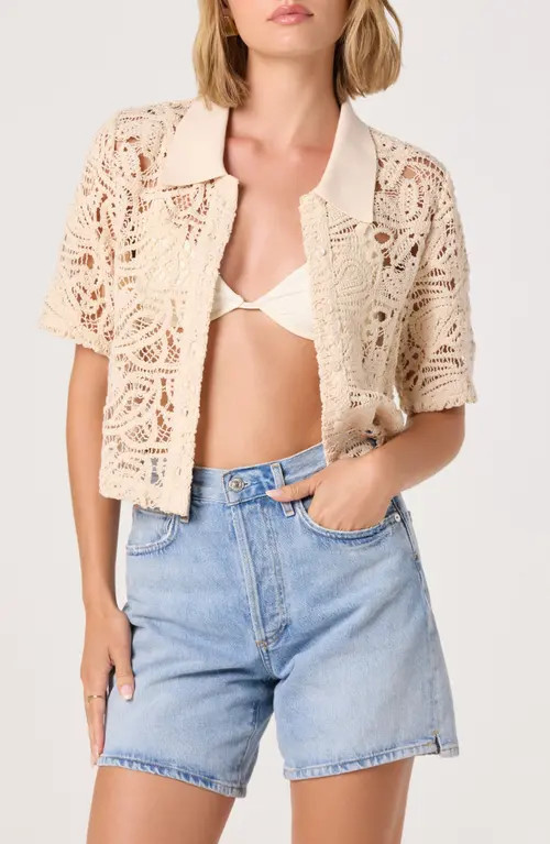 ASTR the Label Loren Lace Short Sleeve Shirt in Natural at Nordstrom, Size Large | Nordstrom
