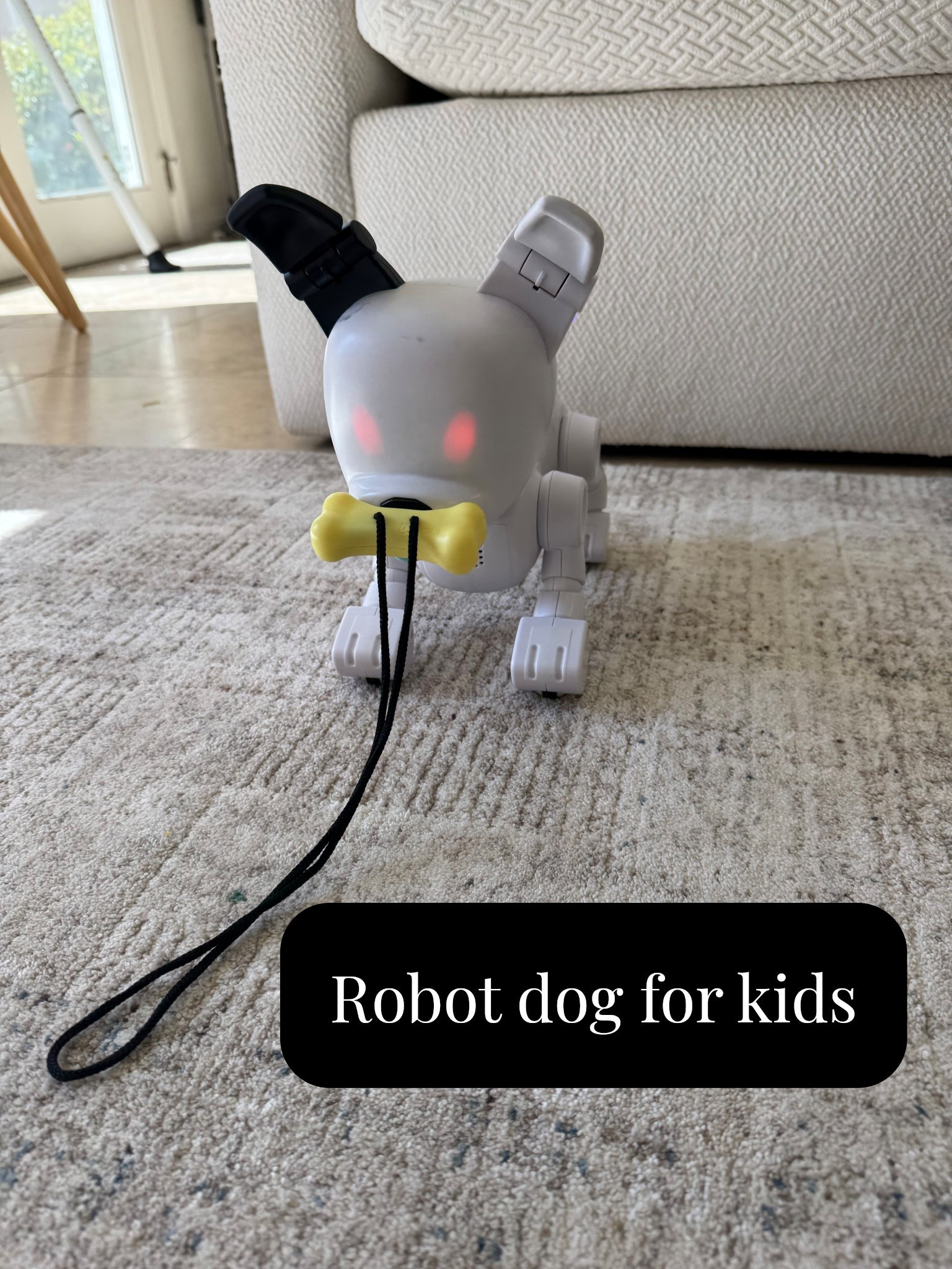 Kids toys robot dog birthday gift for kids

#LTKBaby #LTKKids #LTKmomlife