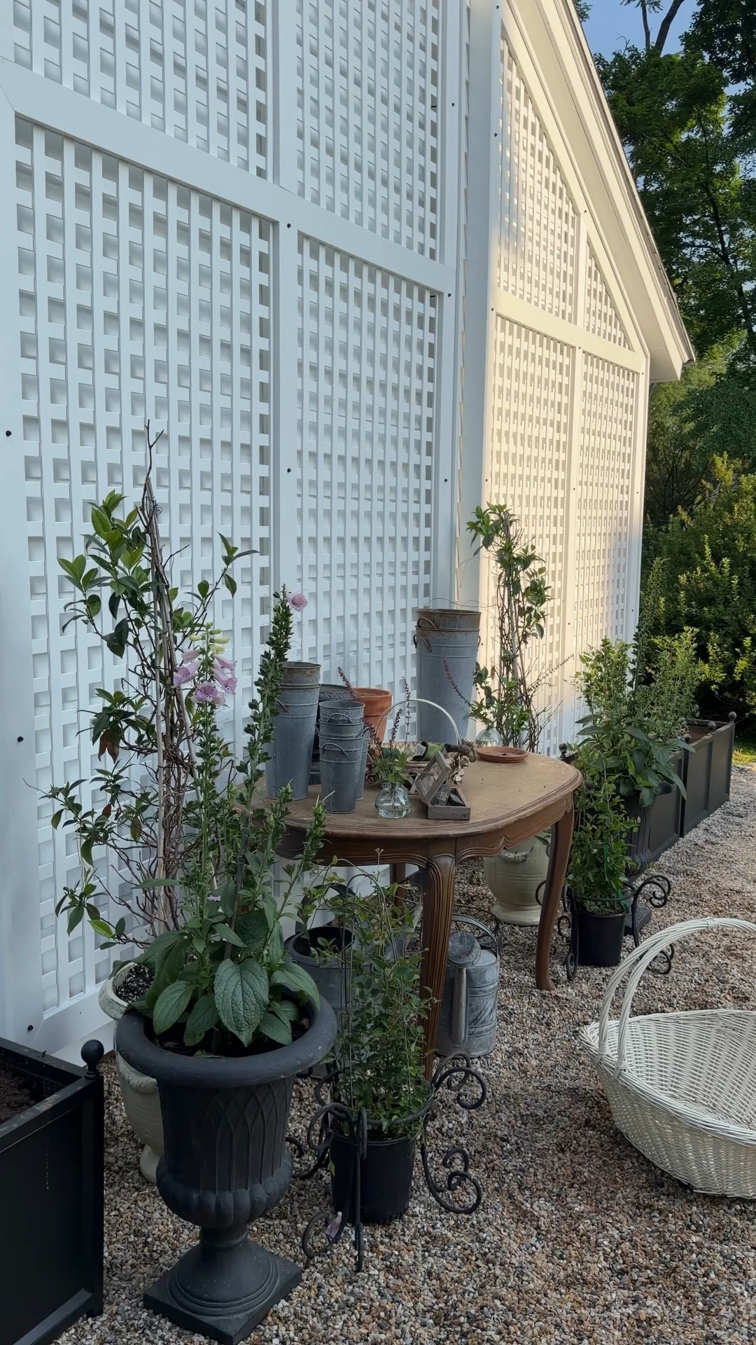 Potting station in progress

#LTKdayinmylife #LTKmomlife #LTKselfcare