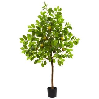 4ft. Potted Lemon Tree | Trees & Floor Plants | Michaels | Michaels Stores