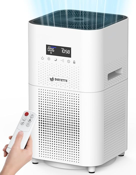 DAYETTE Air Purifiers for Home Large Room up to 3000 Sq Ft, H14 HEPA Filter | Amazon (US)
