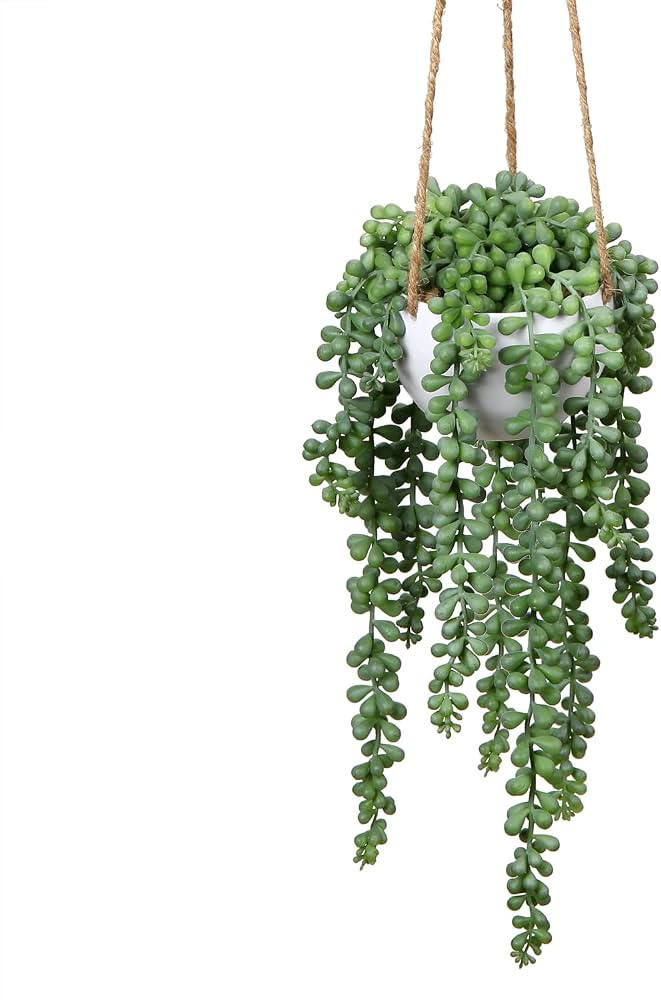 plants Artificial Succulents Hanging Fake String of Pearls Greenery with Planter for Home Wall Ga... | Amazon (US)