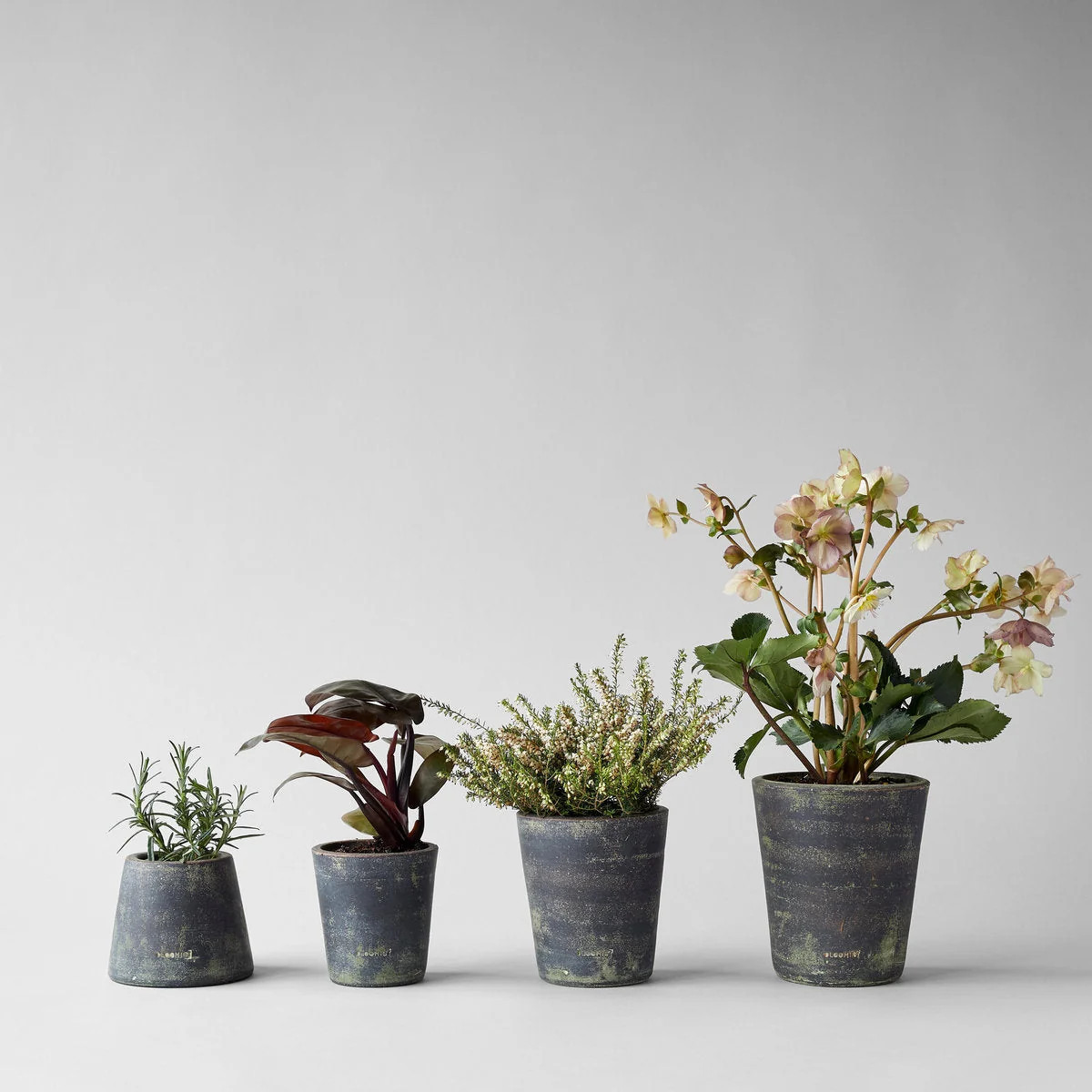 Terra Cotta Basic Planter, Grey Patina | Bloomist, Inc