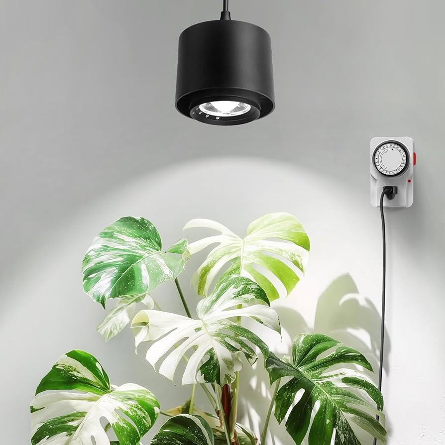 Barrina TR40 Hanging Grow Lights for Indoor Plants, 40W 5000K Full Spectrum, Adjustable Beam Angl... | Amazon (US)