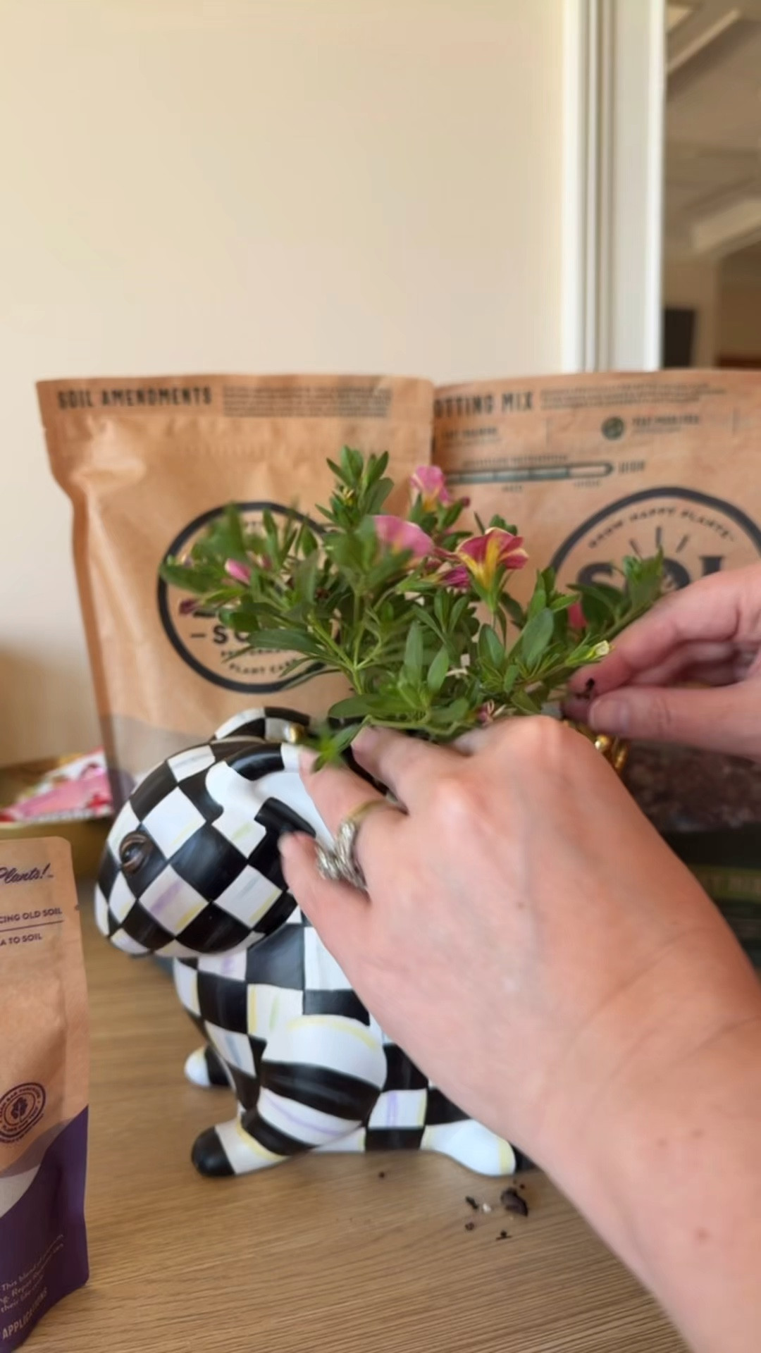 #ad @solsoils is my favorite potting mix for my plants! my girls grabbed a few new flowers to brighten the house for spring and I have been repotting and using the recovery blend on all my house staples the last few days! My plants are thriving and it is all because of #solsoils 

#spring #plantlady #plants #livinglargeinlilly #ltkcollab

#LTKSeasonal #LTKmomlife #LTKHome