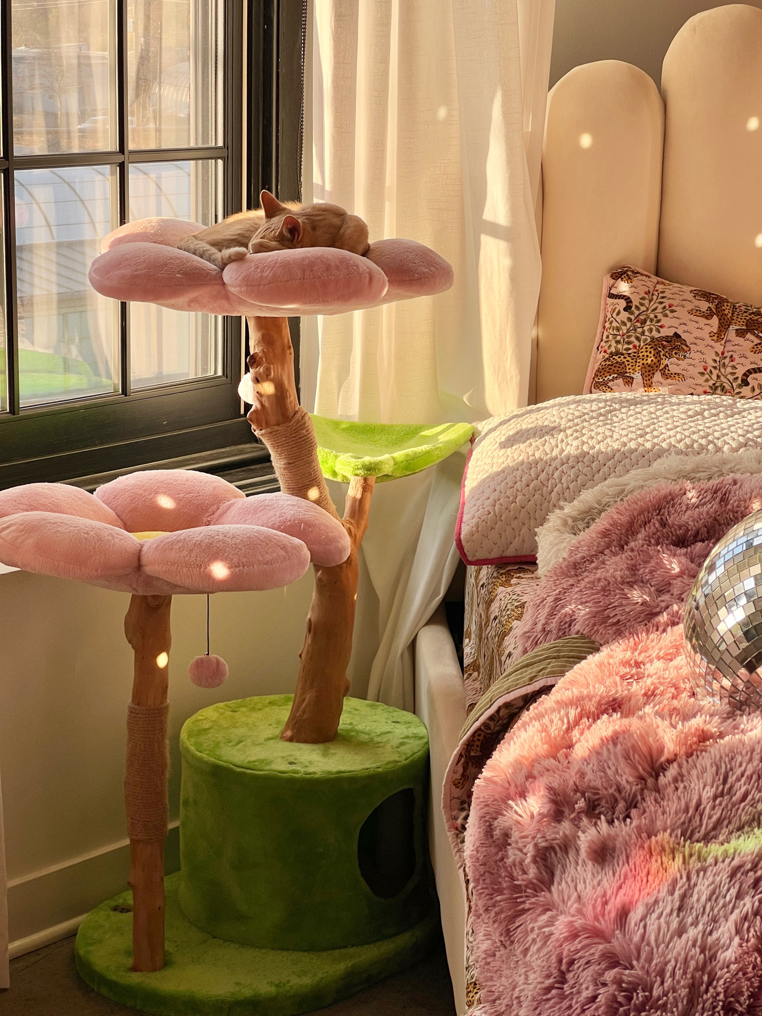 The cutest cat tree you will ever find! My kitties love the cherry blossom tres floral cat tree by KBSPets🐈

#LTKhome #LTKFind