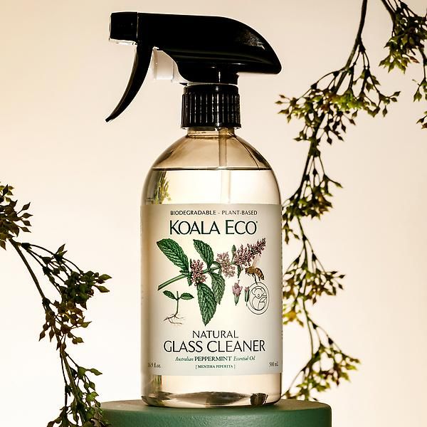 Koala Eco Glass Cleaner | The Container Store