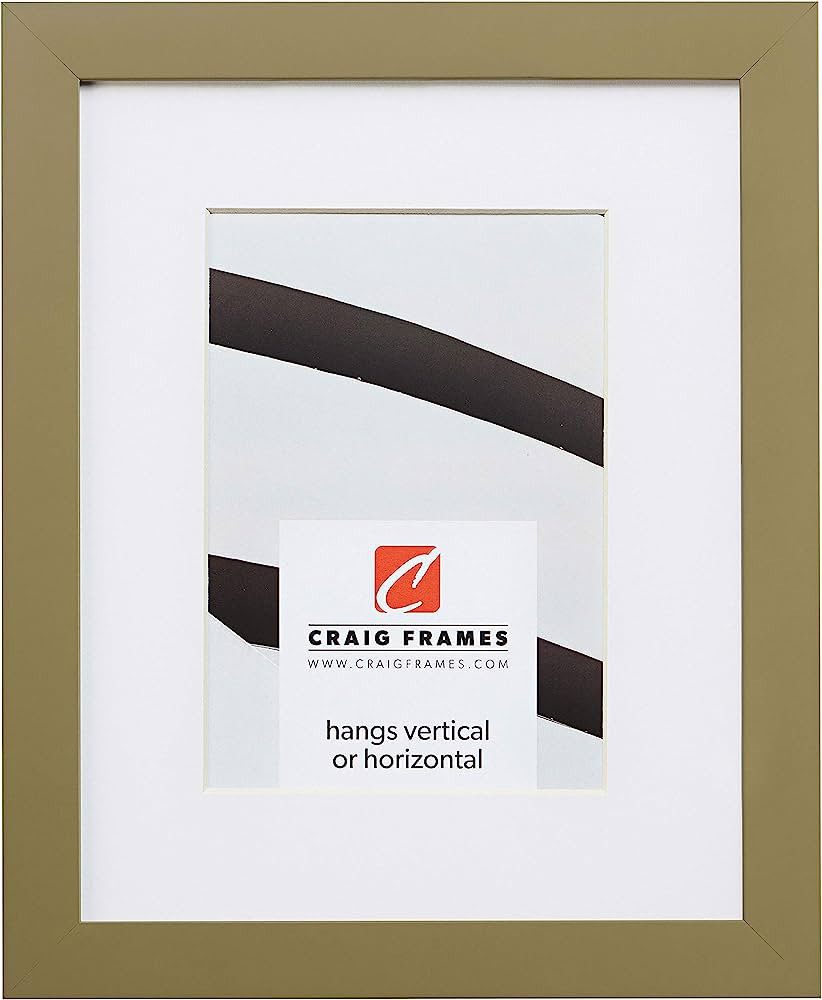 Craig Frames Confetti, 16 x 20 Inch Modern Olive Green Picture Frame Matted to Display a 11 x 14 ... | Amazon (US)