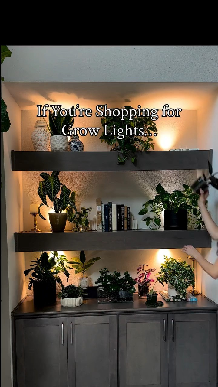 Use code JACQUELYNGROWS20 for 20% off ✨
Works on Barrina’s OG-09 Series, Terra Series, and TR Series grow lights.

If you’ve been trying to figure out which grow lights are actually worth using, here are my top five and what each one is best for. 🌿✨

1. Barrina Puck Grow Light
Perfect for shelves. Low-profile, bright, and great for small plants that need steady light.

2. Soltech Hanging Grow Light
Blends beautifully with decor and has a super smooth dimmer for a natural look.

3. SANSI 10W Clip-On Grow Light
Easy to position, strong for its size, and great for small potted plants.

4. SANSI BR30 40W Grow Bulb
Works in most lamps and gives you strong, efficient light instantly.

5. Barrina T1S Movable Light
Lightweight, portable, and perfect for brightening low-light corners in your home.

Comment NEED for the link 💚

#houseplants #growlight #plantcare #indoorplants #urbanjungle plantsetup planttips plantlover

shelf grow lights | puck grow lights | clip on grow light | BR30 grow bulb | movable grow light | best grow lights for plants