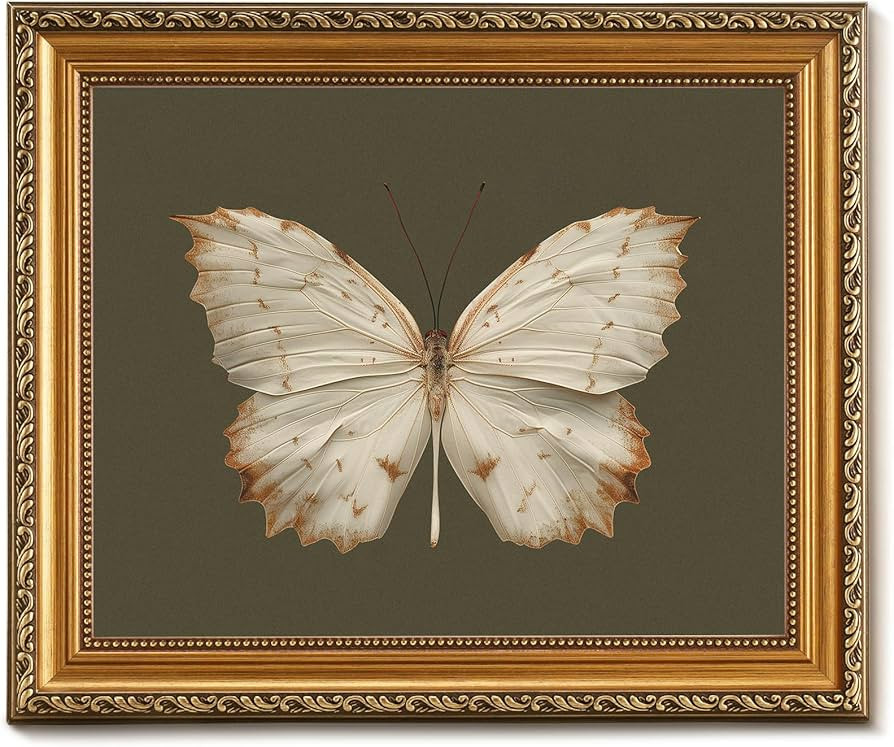 Vodefoad Retro Gold Framed Wall Art Decor Classical Butterfly Canvas Oil Paintings Dark Moody Ins... | Amazon (US)