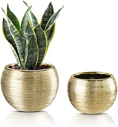 4.5" 5.5" Gold Planters for Indoor Plants Set of 2 Gold Plant Pots Small Flowerpot Ceramic Houseplan | Amazon (US)