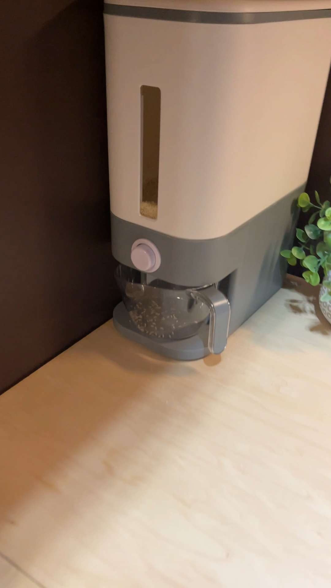 Easy way to store rice! 

 #LTKHome #LTKSaleAlert