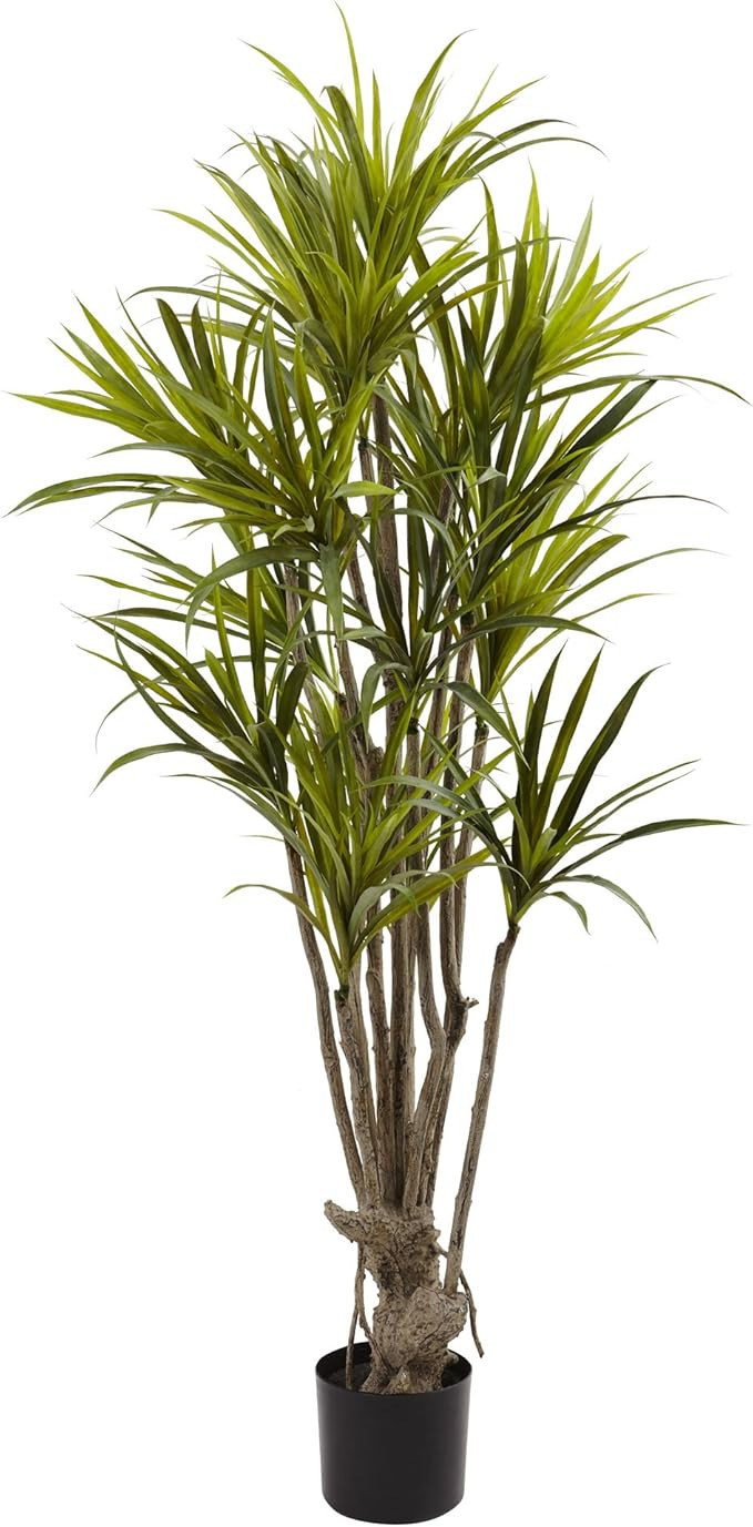 Nearly Natural 5ft. Dracaena Silk Tree | Amazon (US)