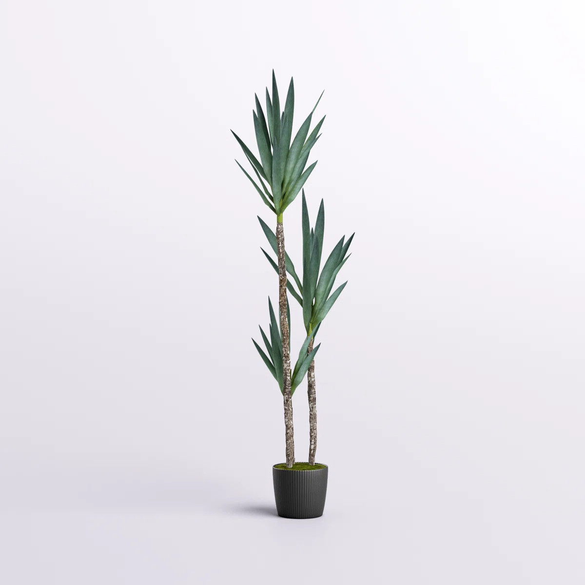 The Twillery Co.® Artificial Green Yucca Tree in Black Planter Pot & Reviews | Wayfair | Wayfair North America