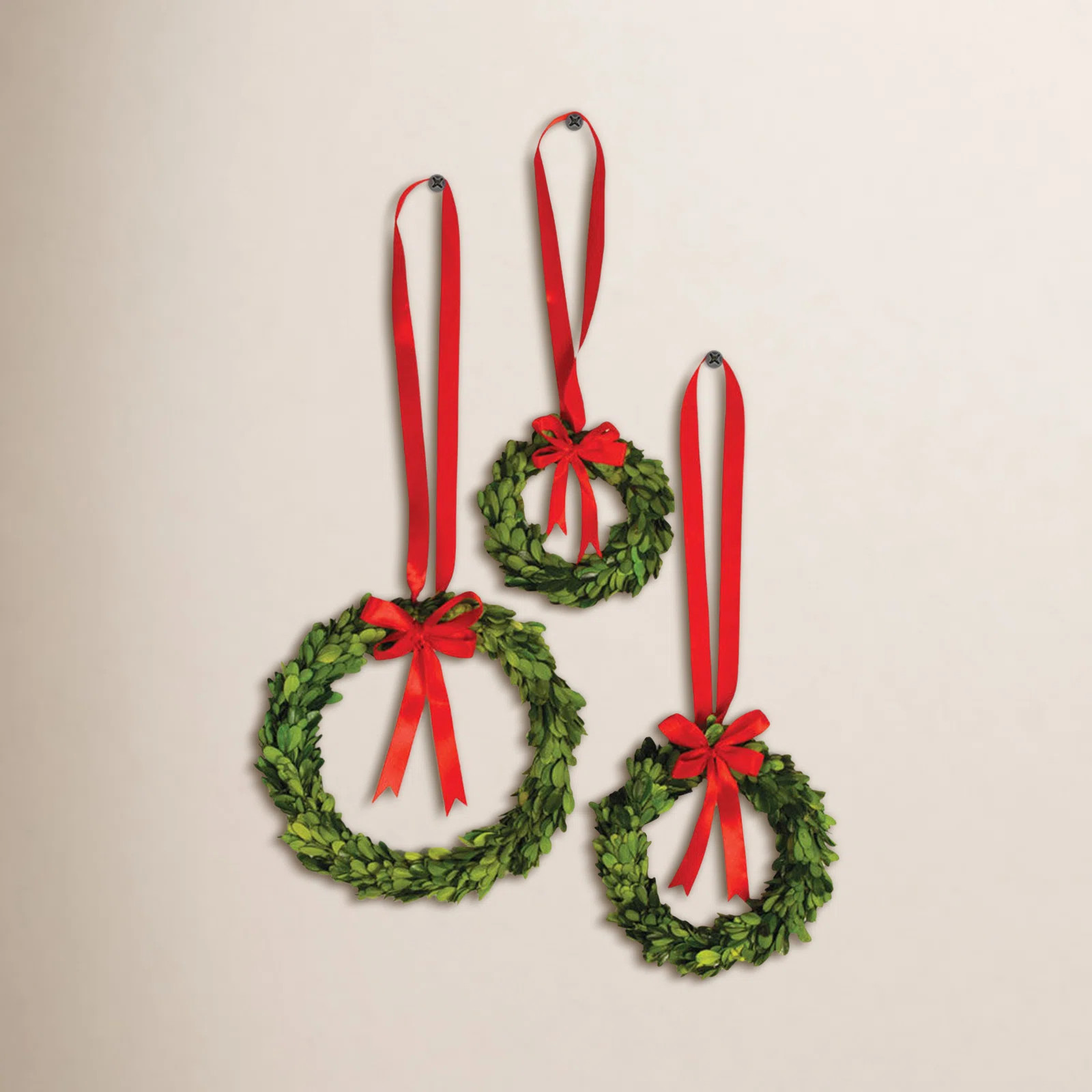 Preserved Boxwood 10'' Wreath (Set of 3) | Wayfair North America