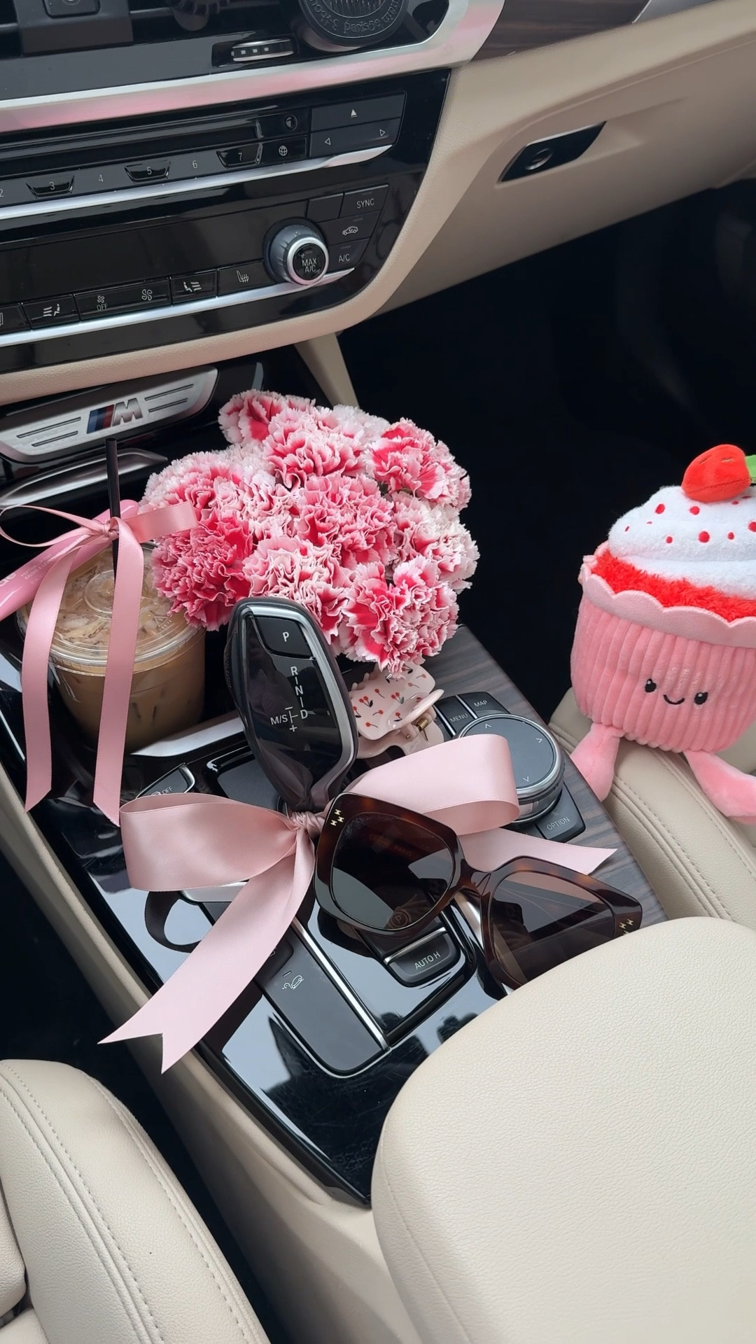 Valentine car flowers and decor for February! These @Target plushies are so stinking cute! 

#LTKSeasonal #LTKdayinmylife #LTKValentine