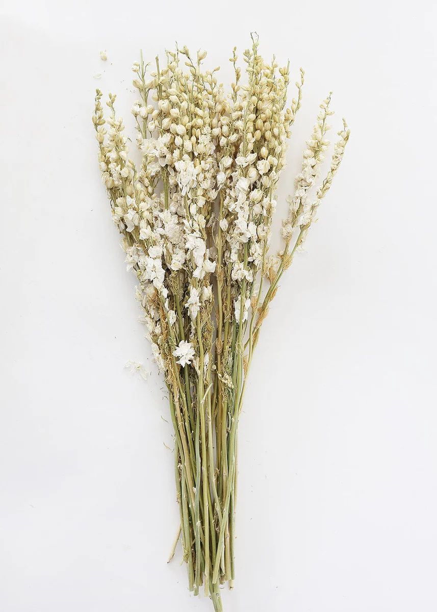 Cream Dried Larkspur Wildflowers - 23-26 | Afloral (US)