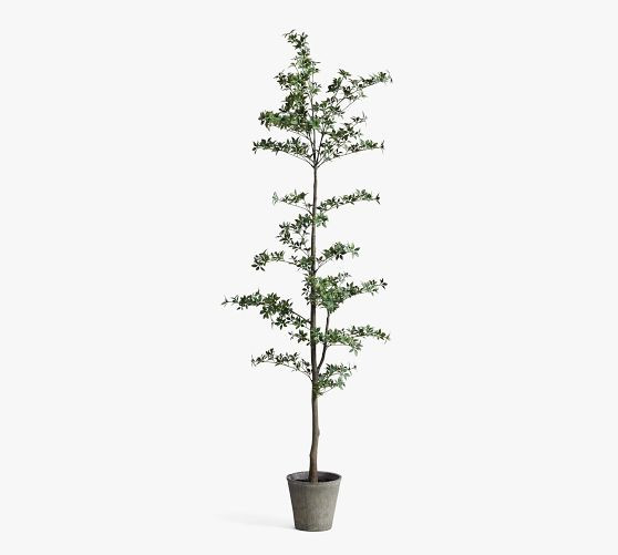 Faux Black Olive Tree | Pottery Barn (US)