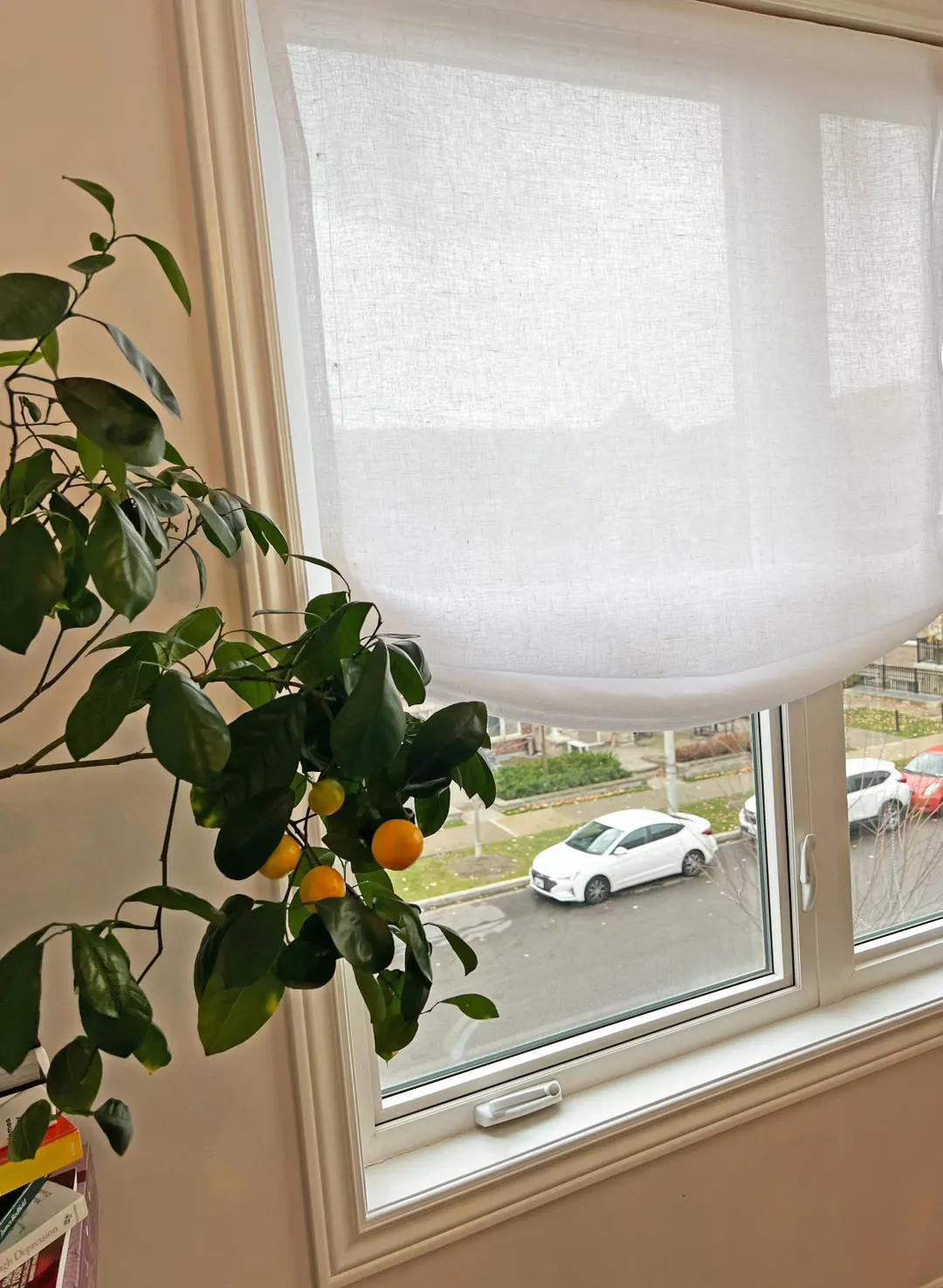 Sheer Roman Shade, European Relaxed "natural Linen" , 100% Linen Sheer Fabric, Chain Mechanism, R... | Etsy (US)