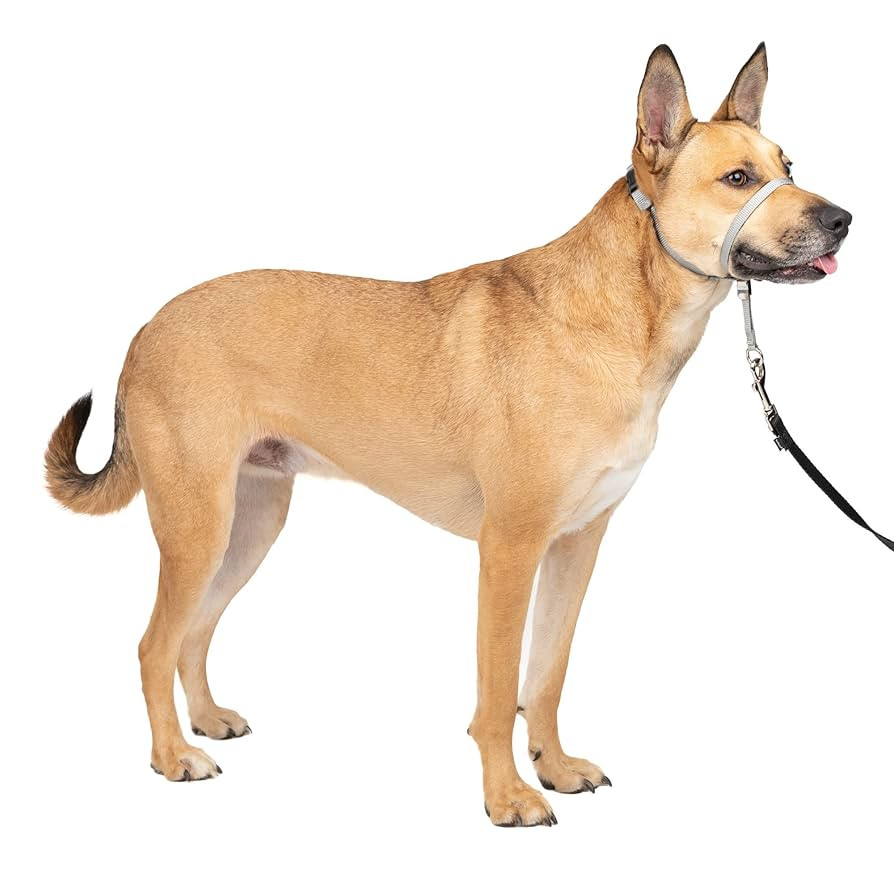 PetSafe Gentle Leader No-Pull Dog Headcollar - The Ultimate Solution to Pulling - Redirects Your ... | Amazon (US)