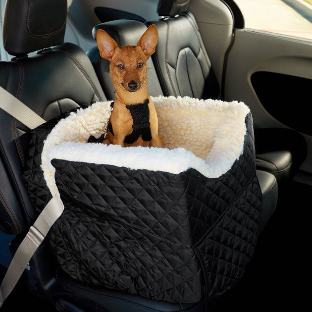 SNOOZER PET PRODUCTS Lookout II Dog & Cat Car Seat, Black, Small - Chewy.com | Chewy.com