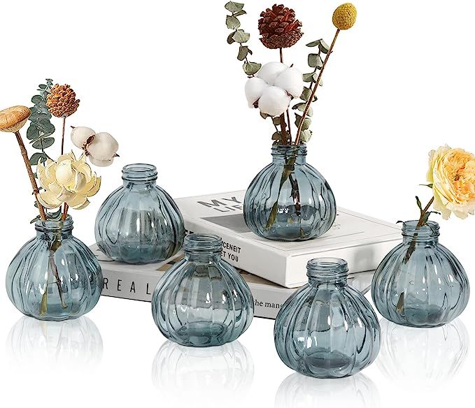 OppsArt Mini Bud Vases for Centerpieces Set of 6 - Tiny Glass Clear Vase for Wedding Decor, Small... | Amazon (US)