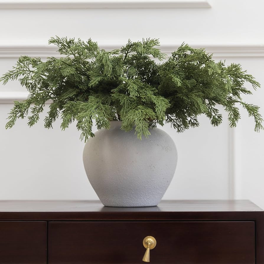 MISSPIN 12 Pcs 21.5 Inches Christmas Cedar Branches, Cedar Artificial Christmas Branches DIY Craf... | Amazon (US)