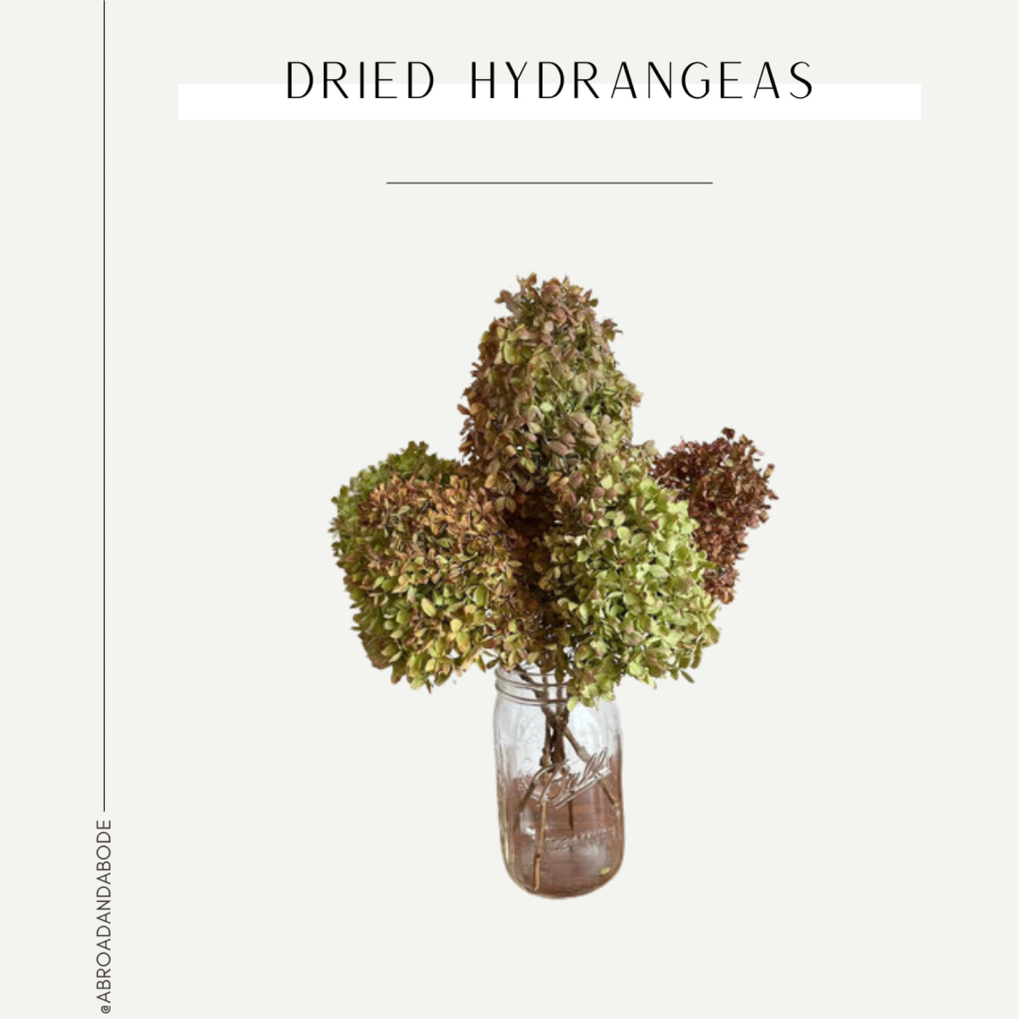 Dried hydrangeas for spring decor

#LTKFind #LTKSeasonal #LTKhome