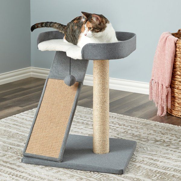 Two By Two The Bonzai Play 'N Perch 22.8-in Felt Cat Perch, Grey | Chewy.com