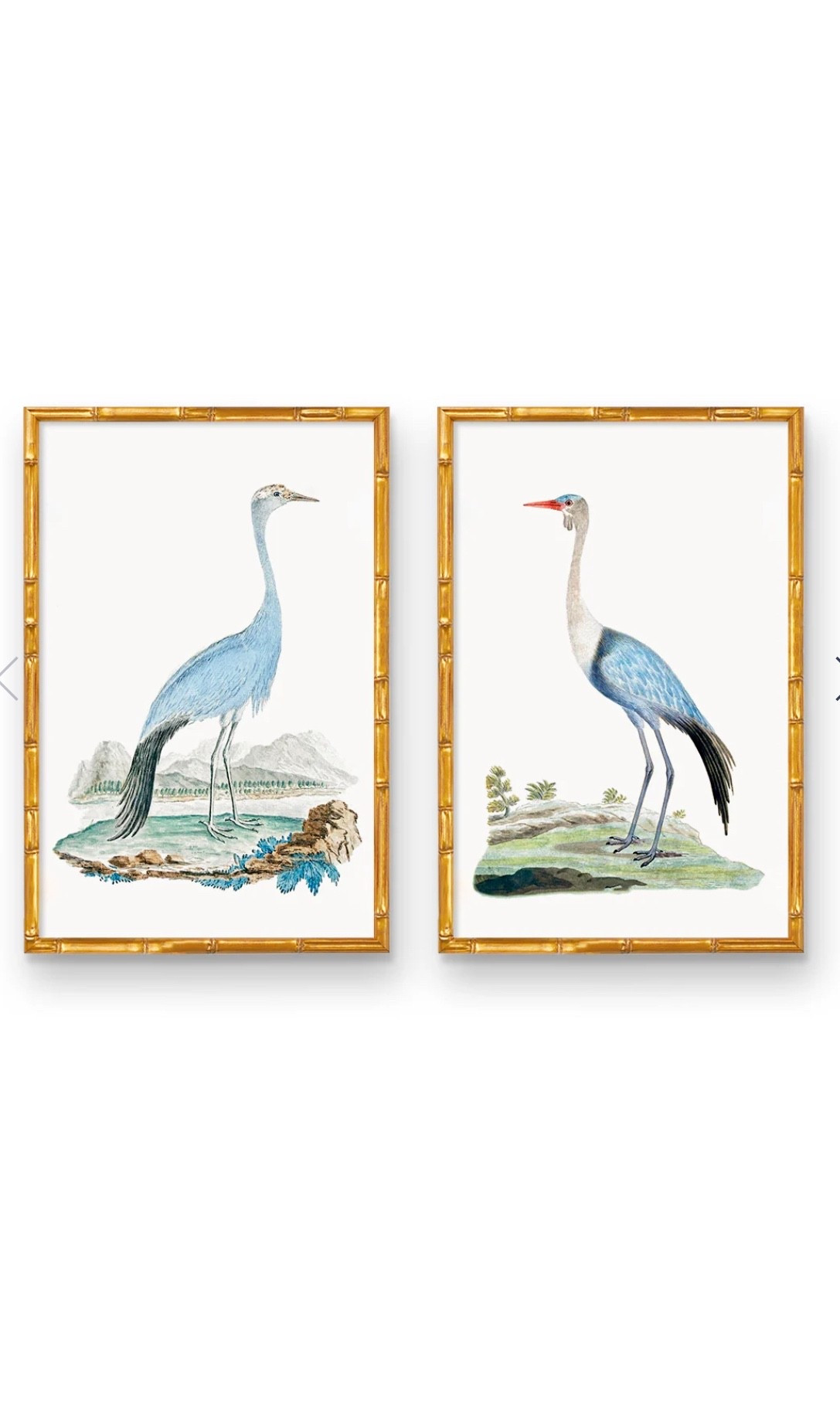 Downloadable digital prints of coordinating Herons from Etsy 
 #homedecor
#heron
#art
#digitaldownloads
#traditionalhomedecor
#nancymeyersaesthetic
#oldmoneyaesthetic

#LTKOver40 #LTKSaleAlert #LTKHome