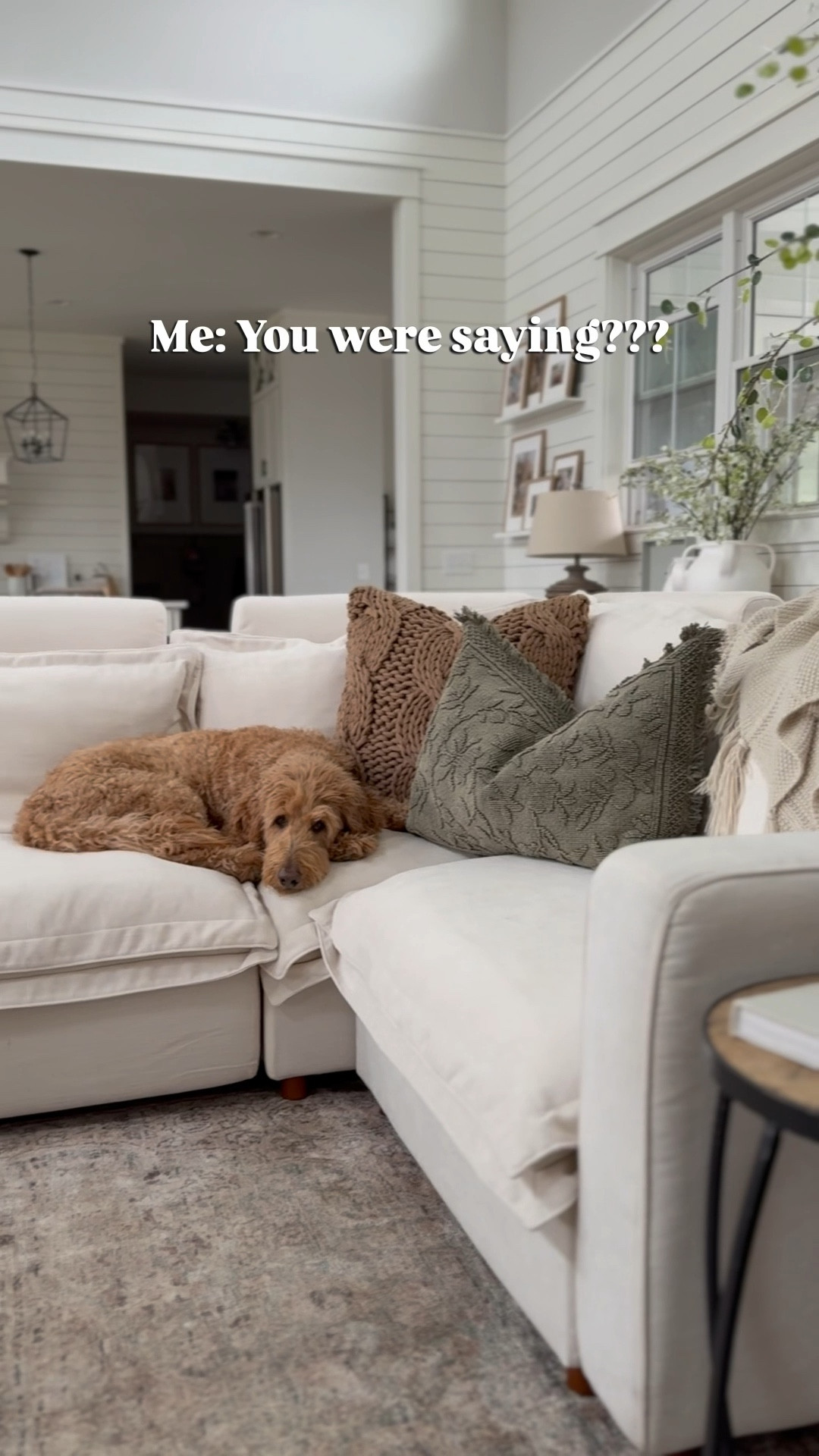 Three kids, two dogs, and 10 months with our Homebody sofa...NO REGRETS! P.S. You can save 30% sitewide during the 4th of July  Sale going on right now through July 7th! Use code STAYHOME to save! This sale won’t last long so take advantage!

After the sale, you can always use my code BRUNOANDLIBBYHB to save 15% off sitewide. 

We have been so happy with our Homebody Luxe Sofa!  We love that it is completely modular and super comfy! These are some of my other favorite features:

• Performance Fabric is spill-proof and easy to clean, but this sofa also features removable slipcovers that are stain-resistant and can easily be removed if washing is necessary.

• You can add in as many zero gravity reclining pieces as you want!  We added two to our sofa. They require 0” of clearance to recline which is perfect for tight spaces or up against a wall.

• Back cushions are easily adjustable to your perfect plushness and can be custom filled with the included pillow inserts.

• Dual sided cushions allow you to choose a softer or firmer seat for your desired level of support.

• USB and USB-C Chargers to conveniently charge all your devices.

• Free curbside delivery!

If you’re in the market for a new sofa, don’t miss this opportunity to save! Drop any questions you have in the comments below!

#LTKSaleAlert #LTKStyleTip #LTKHome