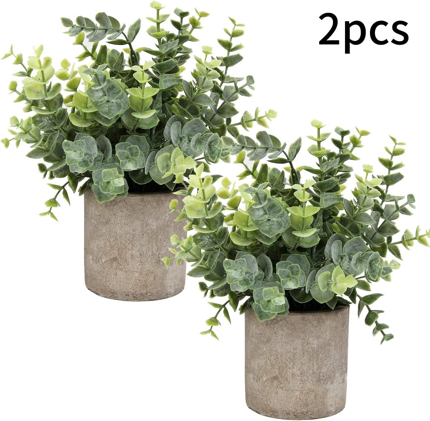 Flojery Mini Potted Plants Artificial Eucalyptus Boxwood Rosemary Greenery in Pots Faux Potted He... | Amazon (US)