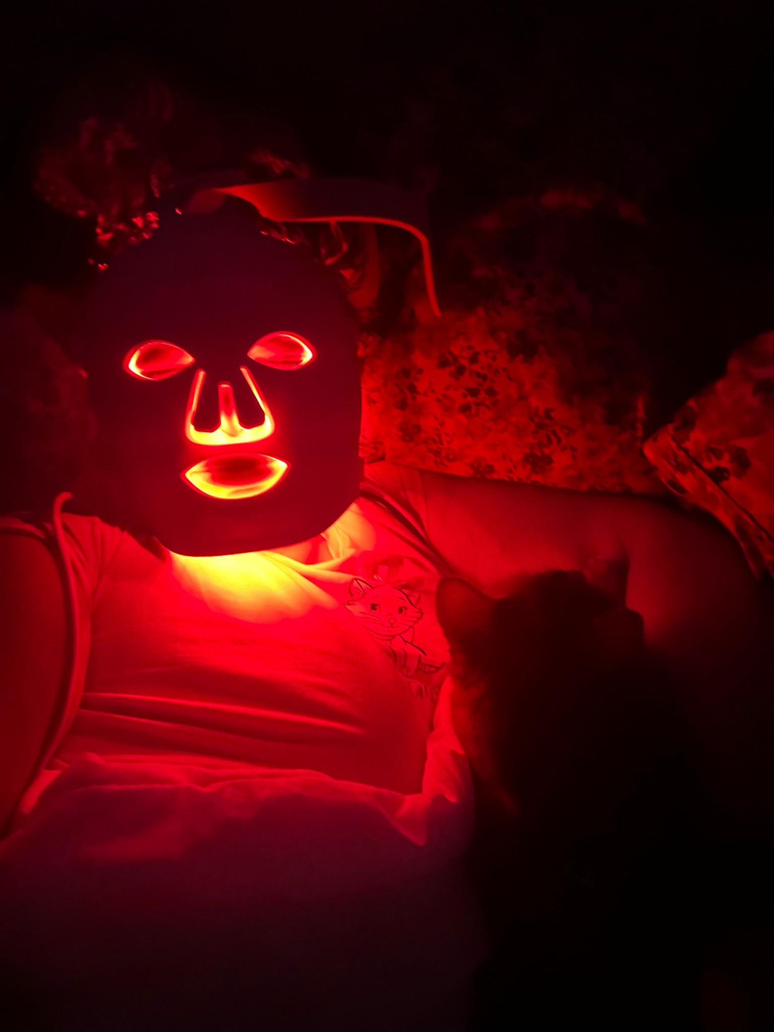 Morning red light for me and the cat 😻

#LTKGiftGuide #LTKmorningroutine #LTKselfcare