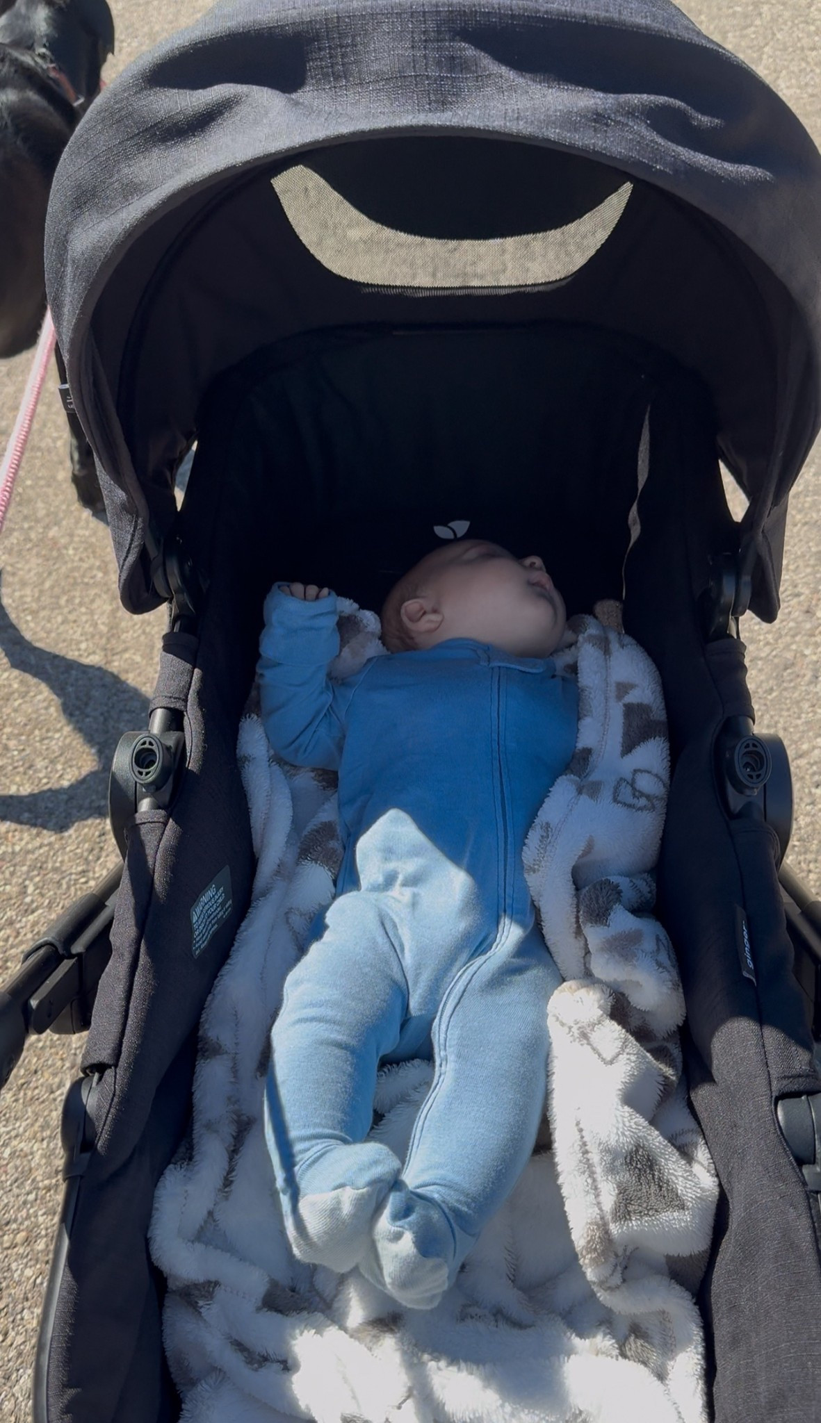 My stroller I use everyday for walks! 

#LTKFamily #LTKKids #LTKBaby